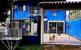 Casa Blue